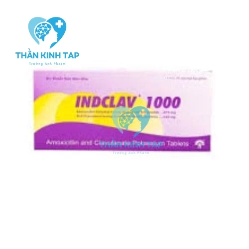 Indclav 1000 - Thuốc điều trị nhiễm trùng, nhiễm khuẩn